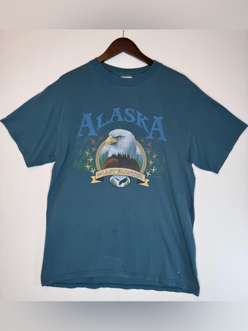 Alaska VTG Graphic T-Shirt bald eagle sz Large “The Last Frontier” TRASHED green